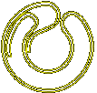 NeonPipeLine-O_1.gif
