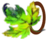 O-LEAF.gif