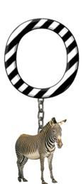 O-Zebra-Charm_ccnan.jpg