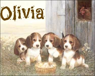 OliviamapBeaglepuppies-vi.jpg