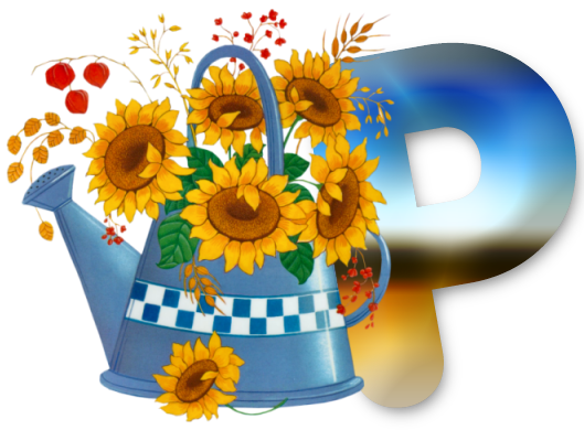 P-lg.png