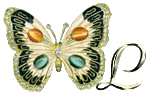 PAPILLON-SMD-ButterflyJewel-A-12.gif