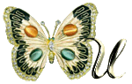 PAPILLON-SMD-ButterflyJewel-A-21.gif