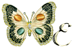 PAPILLON-SMD-ButterflyJewel-A-5.gif