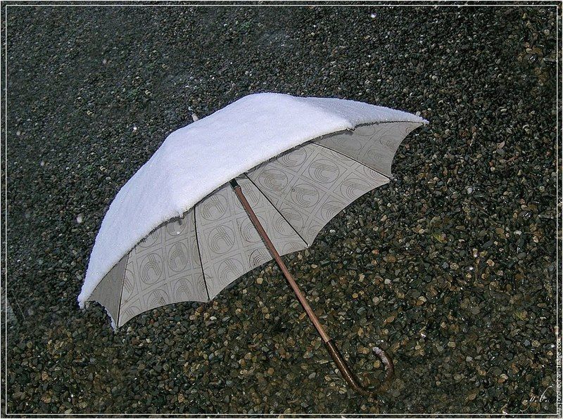 PARAPLUIE_2.jpg