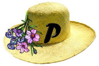 PB-Hat-P.jpg