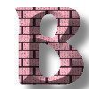 PINKBRICKSSTYLEALPHA-B.jpg