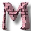 PINKBRICKSSTYLEALPHA-M.jpg