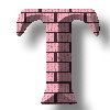 PINKBRICKSSTYLEALPHA-T.jpg