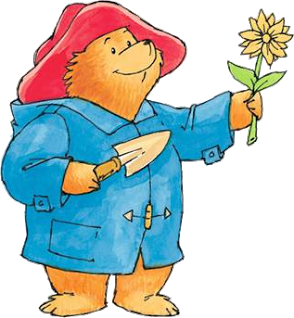 Paddington-Bear-3.png