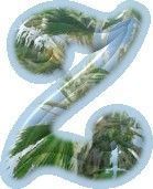 Palm-Tree-Clouds-Z-2.jpg