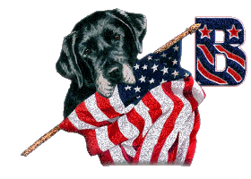 Patriotic-Black-Lab-Alpha-by-iRiS-B.gif