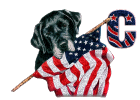 Patriotic-Black-Lab-Alpha-by-iRiS-C.gif