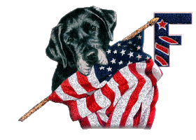 Patriotic-Black-Lab-Alpha-by-iRiS-F.gif