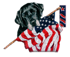 Patriotic-Black-Lab-Alpha-by-iRiS-I.gif