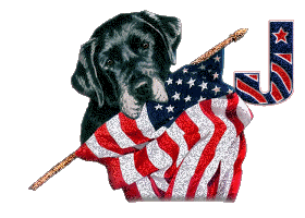Patriotic-Black-Lab-Alpha-by-iRiS-J.gif