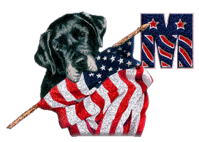 Patriotic-Black-Lab-Alpha-by-iRiS-M.gif