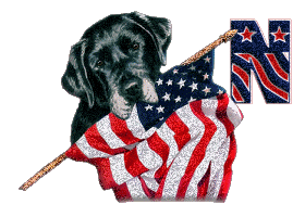 Patriotic-Black-Lab-Alpha-by-iRiS-N.gif