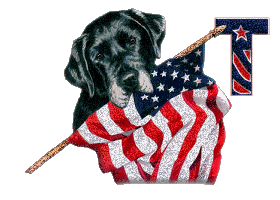 Patriotic-Black-Lab-Alpha-by-iRiS-T.gif