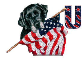Patriotic-Black-Lab-Alpha-by-iRiS-U.gif