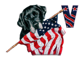 Patriotic-Black-Lab-Alpha-by-iRiS-V.gif