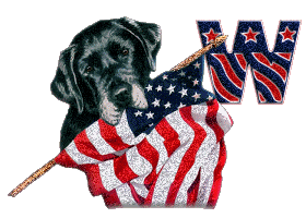 Patriotic-Black-Lab-Alpha-by-iRiS-W.gif