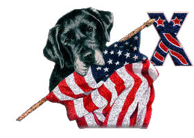 Patriotic-Black-Lab-Alpha-by-iRiS-X.gif