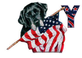 Patriotic-Black-Lab-Alpha-by-iRiS-Y.gif