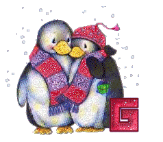 Penguin-Love-to-Keep-Warm-Alpha-by-iRiS-G.gif