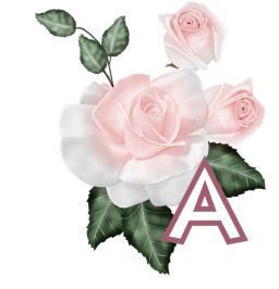 PinkRoseswt_A.jpg