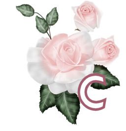 PinkRoseswt_C.jpg