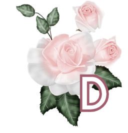 PinkRoseswt_D.jpg
