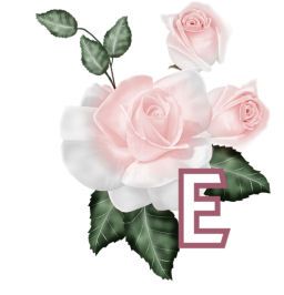 PinkRoseswt_E.jpg