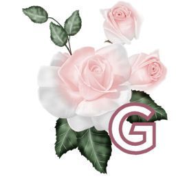 PinkRoseswt_G.jpg
