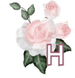 PinkRoseswt_H.jpg