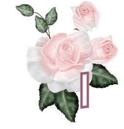 PinkRoseswt_I.jpg