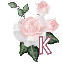 PinkRoseswt_K.jpg