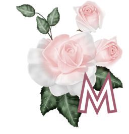 PinkRoseswt_M.jpg