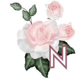 PinkRoseswt_N.jpg