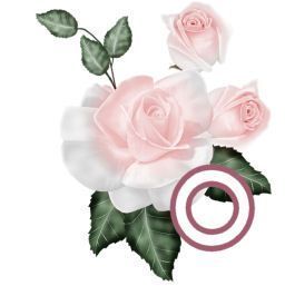 PinkRoseswt_O.jpg