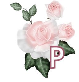PinkRoseswt_P.jpg