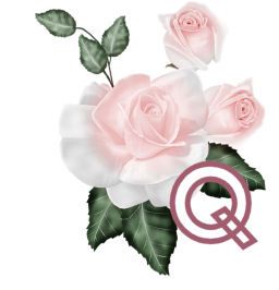 PinkRoseswt_Q.jpg