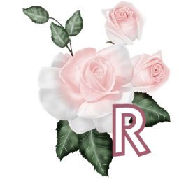 PinkRoseswt_R.jpg