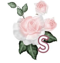 PinkRoseswt_S.jpg