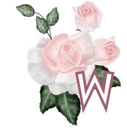 PinkRoseswt_W.jpg