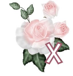 PinkRoseswt_X.jpg