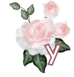 PinkRoseswt_Y.jpg