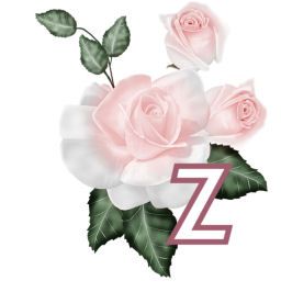 PinkRoseswt_Z.jpg
