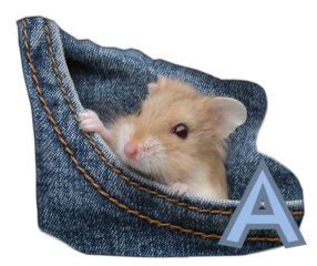 PocketMouseswt_A.jpg