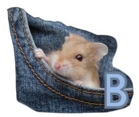 PocketMouseswt_B.jpg